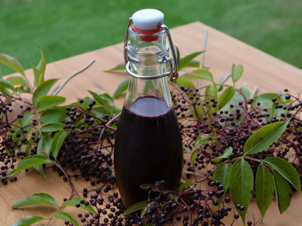 Elderberry juice