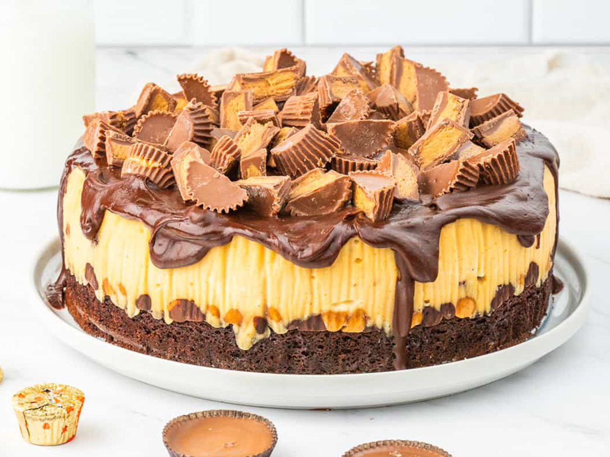 Reeses caramel cheesecake